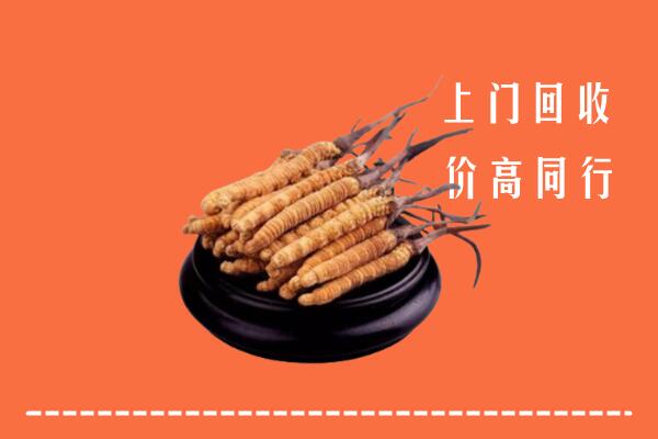 附近收购：重庆冬虫夏草回收多少钱每克